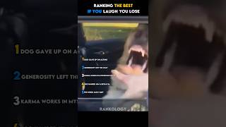 Ranking The Best If You Laugh You Fail (Part 5)