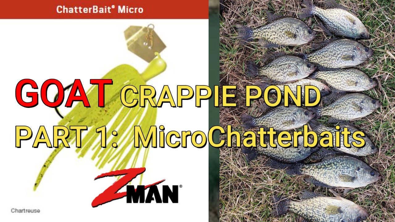 Z-Man Chartreuse 1/8 oz Micro Chatterbait in the GOAT Crappie Pond 