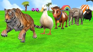 Paint Animals Fountain With Elephant Duck Hippo Tiger - Long Slide Game ss | Funny 3d Animation 187