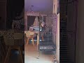 décidément il est fou mon perroquet 😂😂
