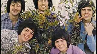 The Osmonds (song) I Can See Love In You And Me