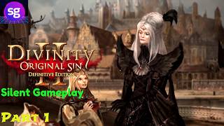 Divinity: Original Sin 2  Silent Gameplay Part 1