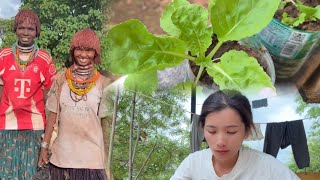 Kab liab peb cog zaub tim kv chaws so 3/31/2026 screenshot 4