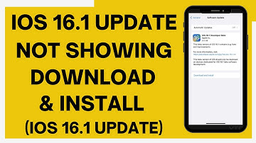 iOS 16.5 Update Not Showing | Download & Install iOS 16.5