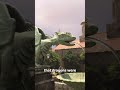 Proof Dragons Are Real 