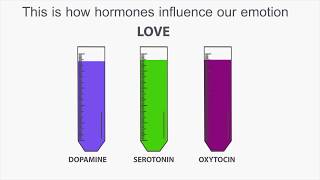 Famous how hormones influence our emotion Wealth