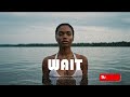 (FREE) Burna Boy x Omah Lay Type Beat 2025 – "WAIT" | Emotional Afrobeat Instrumental | Naija Vibes