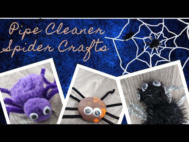 Pipe Cleaner Spider – LCCraft