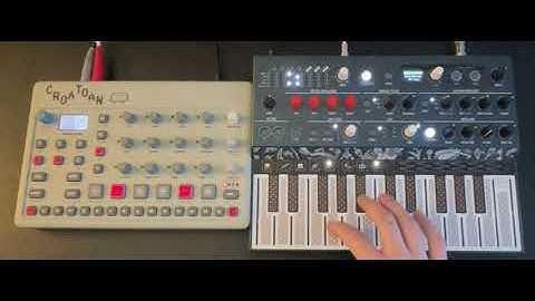 Model:Cycles and Microfreak