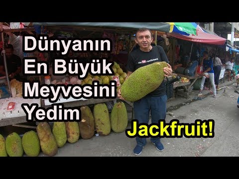 Filipinlerde Dünyanın En Büyük Meyvesini Yedim. Jackfruit 35 Kiloluk Meyve
