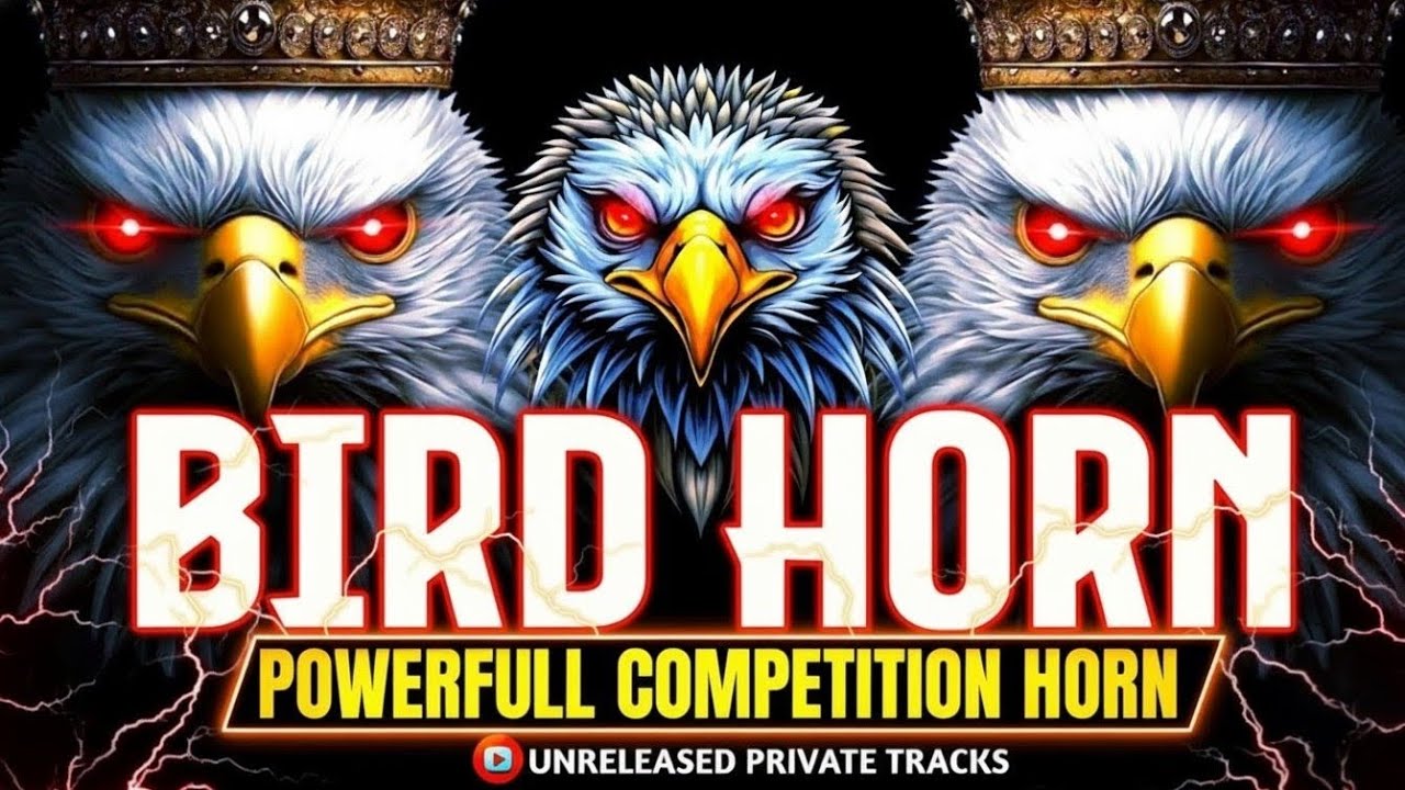 BIRD HORN COMPETITION 2025|| CHIV CHIV HORN | COMPETITION HORN | DJ HORN | 