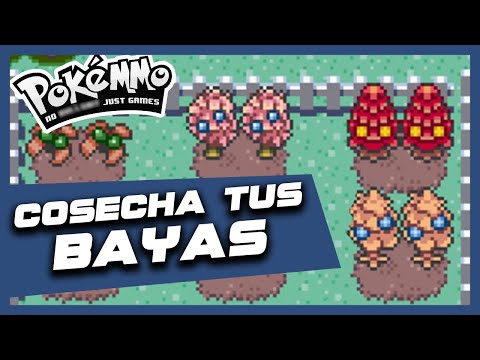 Video: Plantar Cultivos De Bayas. Parte 1