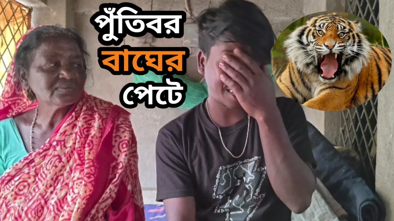 পুঁতিবর বাঘের পেটে।সুন্দরবন।Tiger Attack।Sundarbans