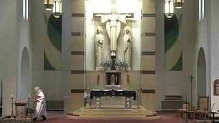 Fifth Sunday in Ordinary Time - February 8, 2026