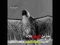 خذ من الصقر ثلاثا الحرية وعزة النفس وبعد النظر حالات واتساب 