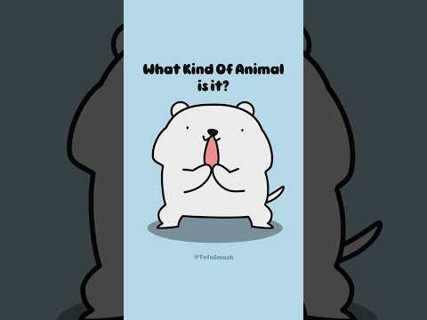 Combina Essas Cores Animal Guessing Style Shorts Animation Cartoon Cute Cutedog 