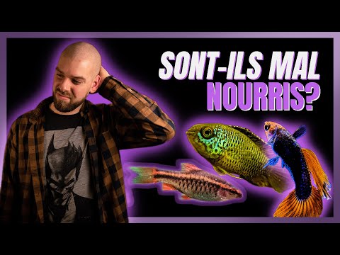 Vidéo: 3 façons d'abaisser le pH de l'aquarium