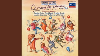 Vignette de la vidéo "Christopher Van Kampen - Saint-Saëns: Le Carnaval des Animaux, R. 125 - 13. Le Cygne"