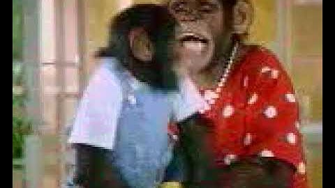 MPG MPEG AMIGA PC ANIMATION FROM AMIGA CDs APES