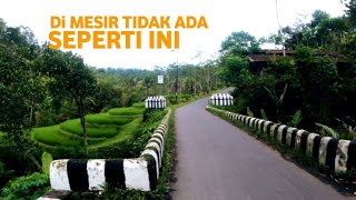 Suasana Keindahan Alam Desa di pagi hari Bagaikan Lukisan  - Pedesaan Jawa tengah