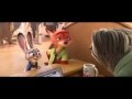 Zootopia  dmv flash