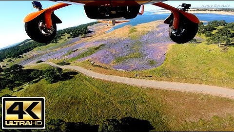 INSANELY beautiful - Rare Purple Flower Superblooming at Folsom Lake, CA by gyroplane