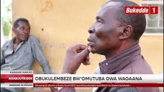 Agabuutikidde: Obukulembeze bw'owomutuba Wagaana.Jajja Gabunga alonz omulala Abaddeko abigaanye