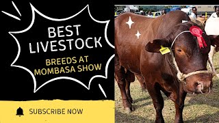 EXPLORING THE LIVESTOCK SECTION |ASK SHOW MOMBASA 2025 HIGHLIGHTS PART 1#bridgingknowledgegap #tips