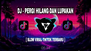 DJ PERGI HILANG DAN LUPAKAN | SLOW VIRAL TIK-TOK TEEBARU 