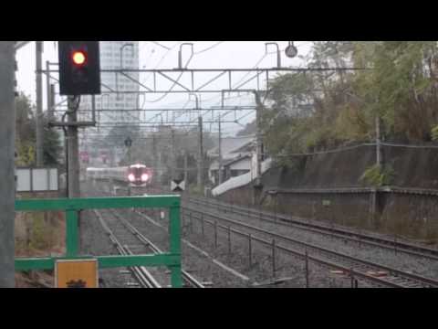 313系とお座敷列車  競争❗   E257系もすれ違う