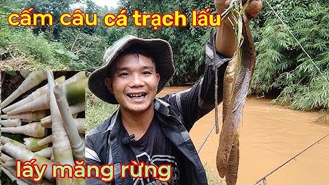 cấm câu suối,chúng ổ trạch lấu siêu ngon,trãi nghiệm bẽ măng rừng