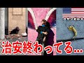 アメリカヤバい国になっちまった…【ロサンゼルス•サンタモニカ•サルヴェーションマウンテン】#236