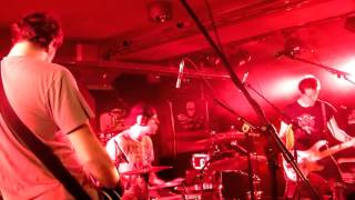 Drone Hunter - Crazy Ants with Shotguns