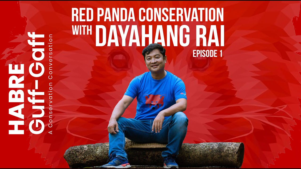 Habre Guff-Gaff with Dayahang Rai E.1 I Conversing Conservation | Red Panda Network | Red Panda