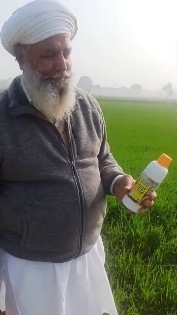 सिरसा जिले के अमरीक जी से सुनिए कैसे नैनो डीएपी से मिला उन्हें गेंहू में फायदा  | वनइंडिया हिंदी