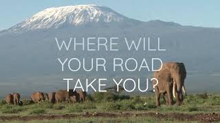 Amber Roads Travel