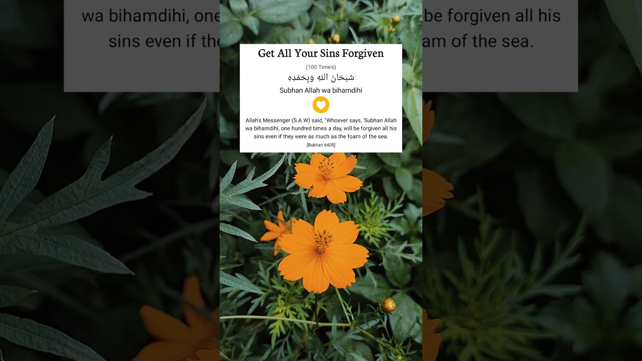 Get All Your Sins Forgiven ❤✨