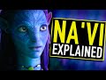 The navi explained  avatar explained