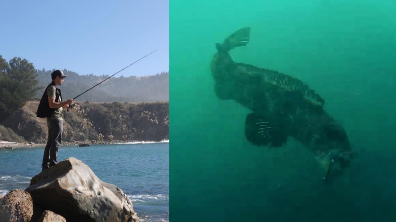Rock Fishing with Underwater Camera and Swimbaits