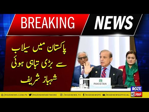The flood caused destruction in Pakistan: Shehbaz Sharif | Roze News