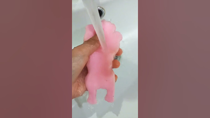 купаем сквиш собаку