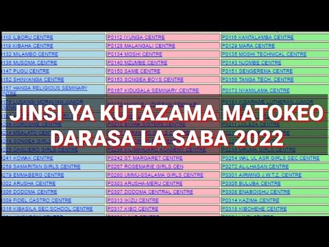 HAYA HAPA MATOKEO DARASA LA SABA 2022  JINSI YA KUTAZAMA MATOKEO