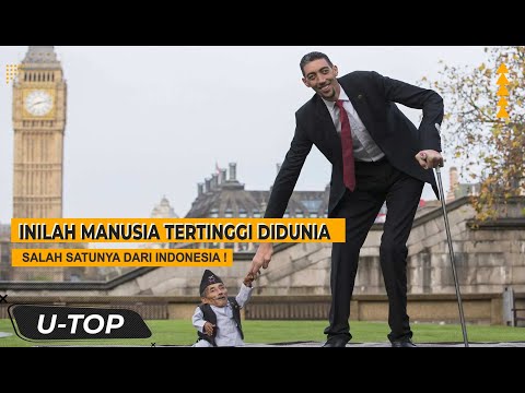 INILAH MANUSIA TERTINGGI DI DUNIA, ORANG INDONESIA SALAH SATUNYA | UTOP