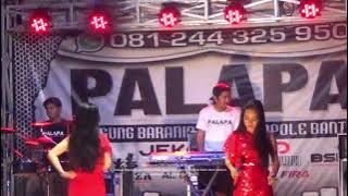 Live Full Cover Bulu Loe // Voc. All Artist // PALAPA Bantaeng Live Bulu Loe Jeneponto