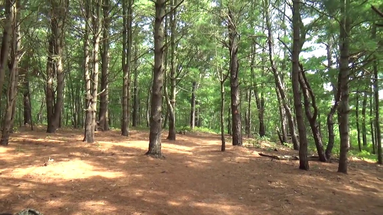 Sans Souci Park (Camp Edey) short extra YouTube