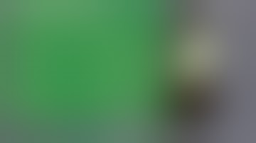 OSX Lion Mission Control Bug