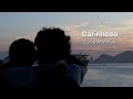 Marisa Monte - Carinhoso (lyric video versão MMFãs)
