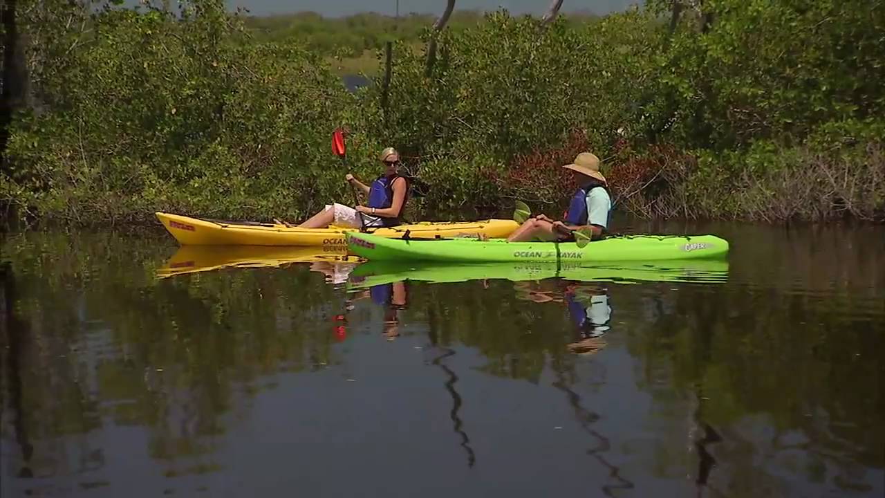 Get Into Bradenton Florida Nature on Kayaks Video Production
