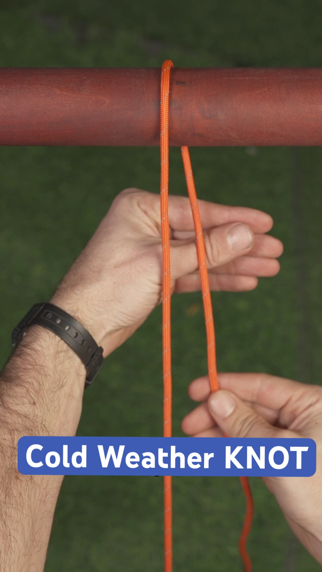 The Bear Essentials - YouTube