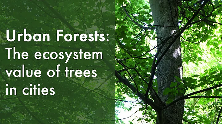 Urban forests and their ecosystem services | Dr Da...